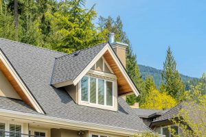 close-up of shingle roofing