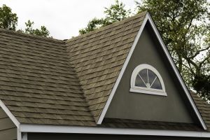 showing close-up of shingle roof