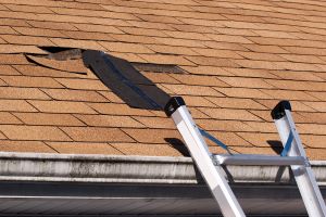 damaged roofing shingles on a residential home
